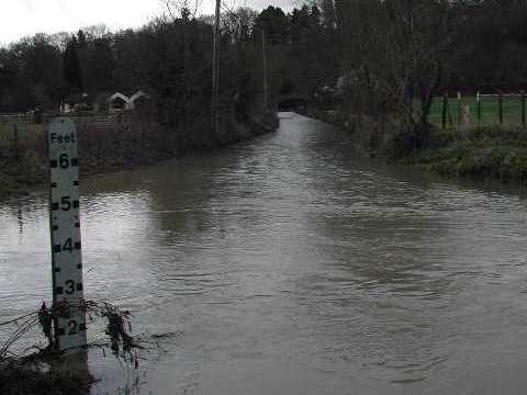The ford at Much Hadham - courtesy of Wet Roads
